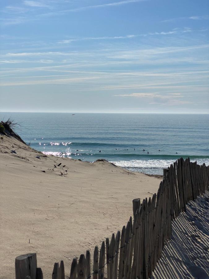 Apt Les Grands Pins, Entre Foret, Lac Et Ocean Carcans Exterior foto