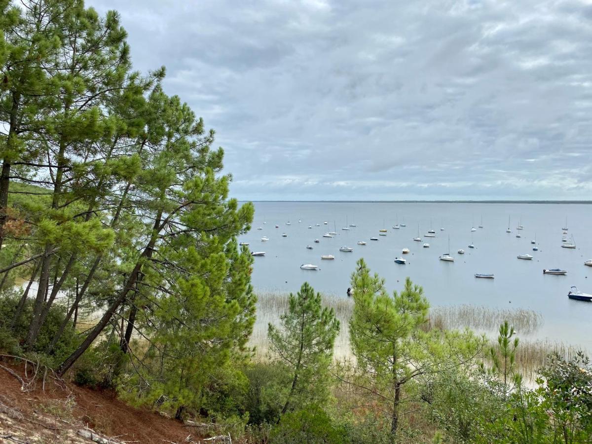 Apt Les Grands Pins, Entre Foret, Lac Et Ocean Carcans Exterior foto