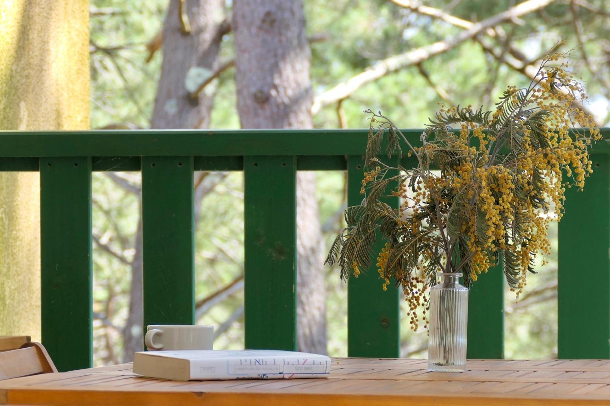 Apt Les Grands Pins, Entre Foret, Lac Et Ocean Carcans Exterior foto
